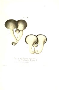 n190_w1150