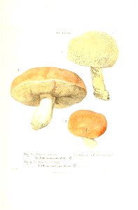 n518_w1150
