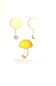 n488_w1150