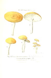 n458_w1150