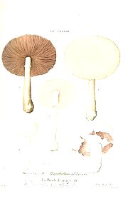 n428_w1150