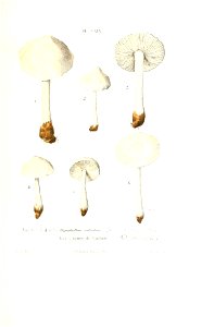 n398_w1150