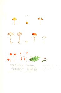 n368_w1150