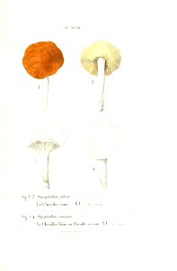 n248_w1150