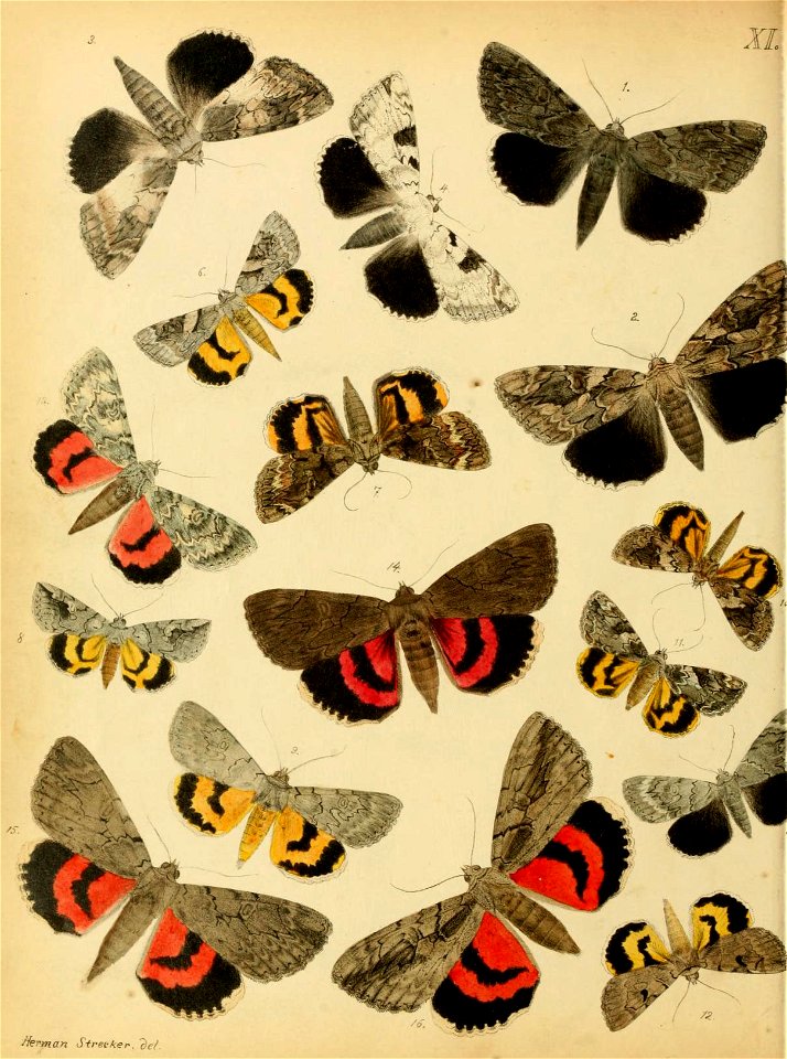 n123_w1150