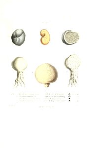 n576_w1150