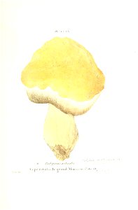 n516_w1150