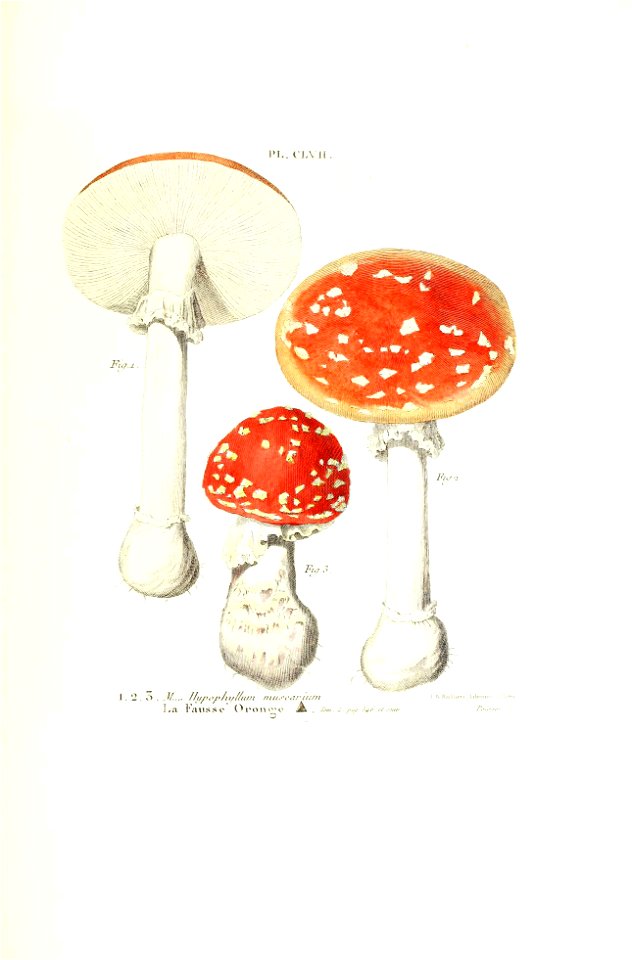 n486_w1150