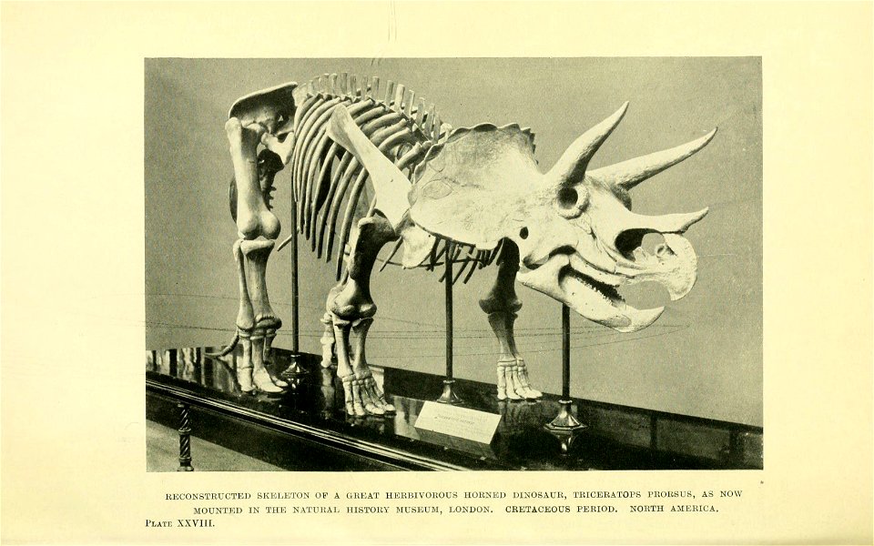 n279_w1150