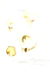 n290_w1150