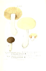 n318_w1150