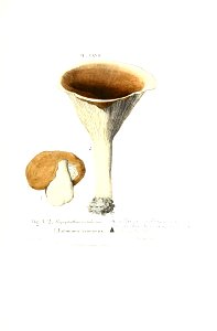 n288_w1150