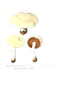 n258_w1150