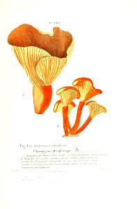 n198_w1150