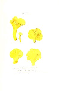 n226_w1150