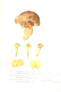 n256_w1150