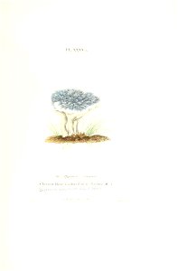 n224_w1150
