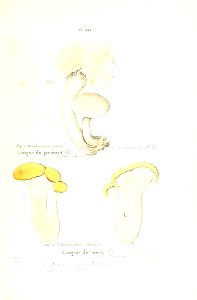 n194_w1150