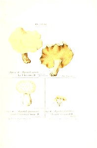 n222_w1150
