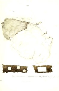 n162_w1150