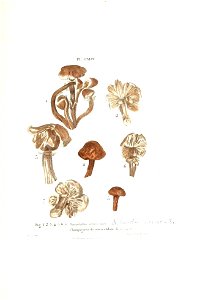 n456_w1150