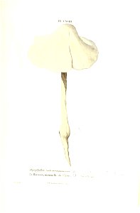 n396_w1150