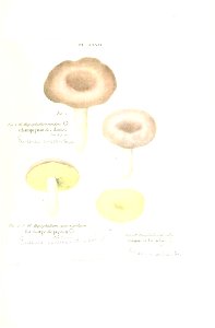 n306_w1150