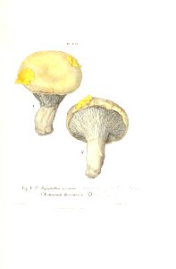 n276_w1150