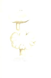 n246_w1150