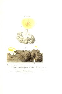 n502_w1150