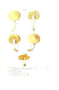 n262_w1150