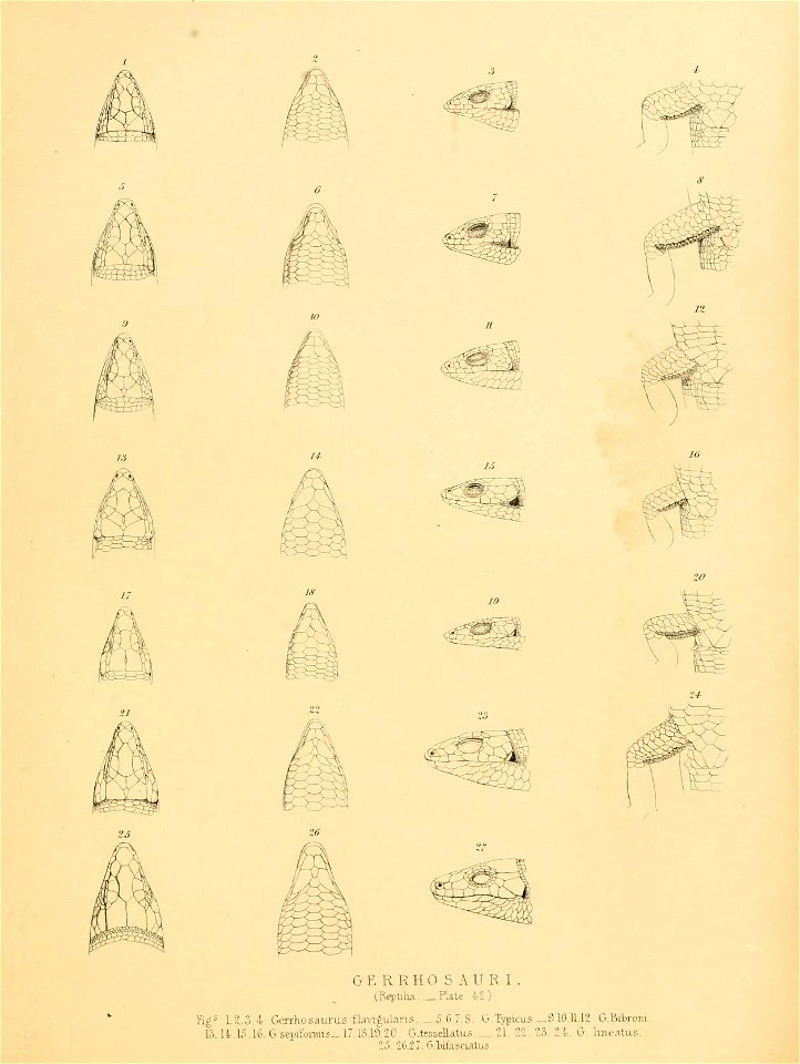 n254_w1150