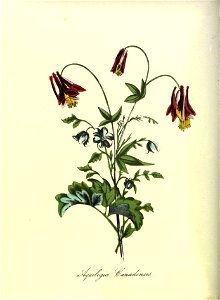 n103_w1150