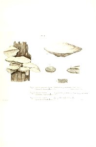 n156_w1150