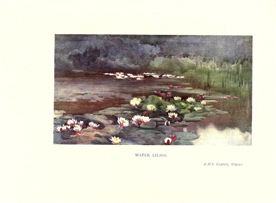 n196_w1150