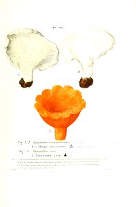 n202_w1150