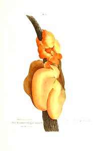 n172_w1150