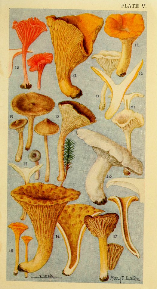 n182_w1150