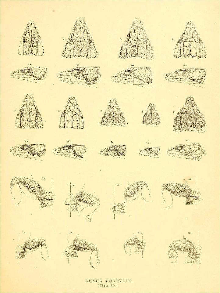 n182_w1150
