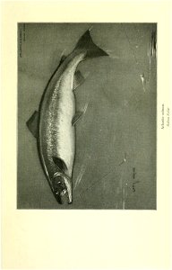 n140_w1150