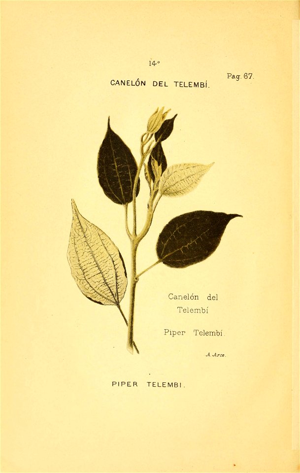 n113_w1150