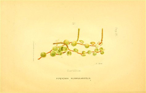 n109_w1150