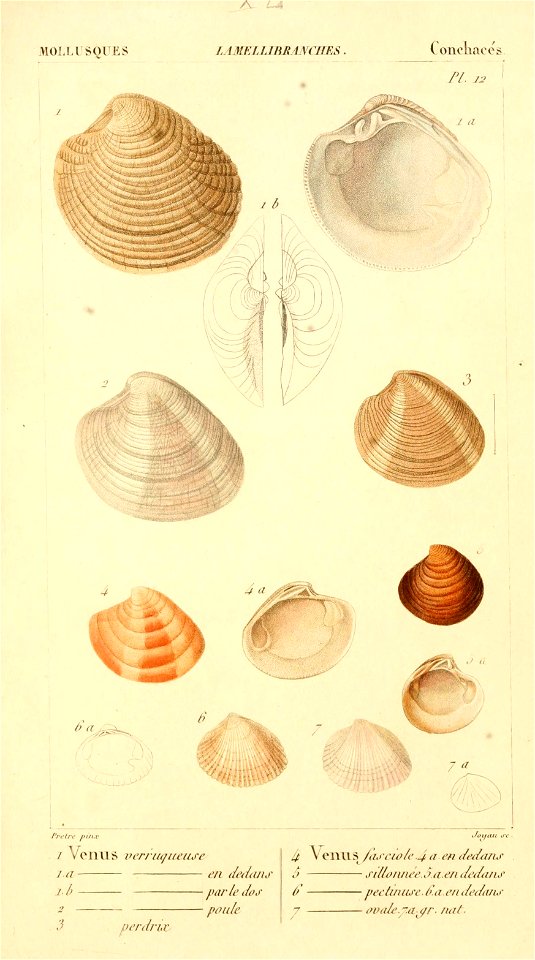 n492_w1150
