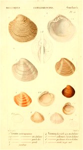 n492_w1150
