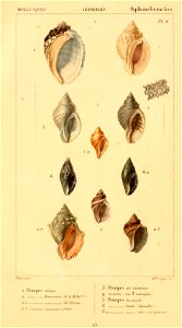 n368_w1150