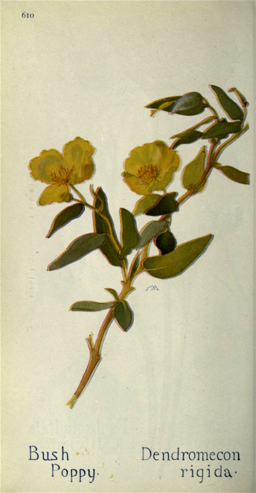 n633_w1150