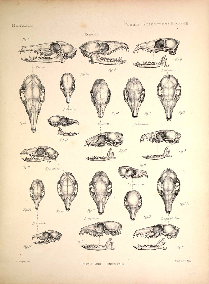 n56_w1150