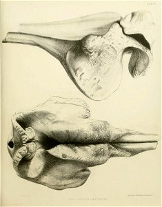 n174_w1150