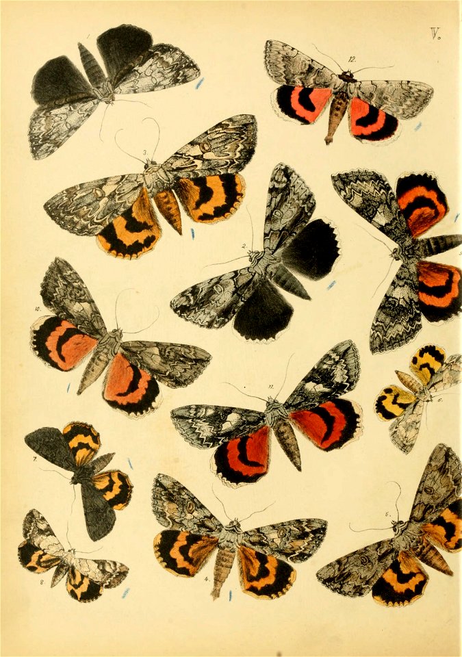 n49_w1150
