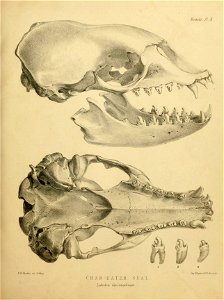 n122_w1150